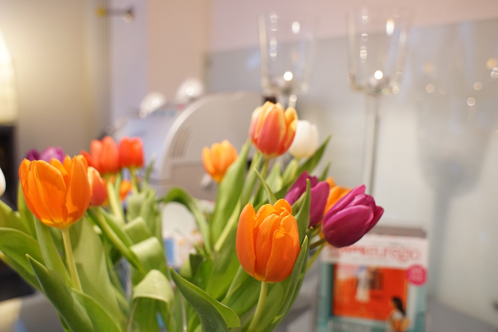 Orange und violette Tulpen im hautnah-Laden